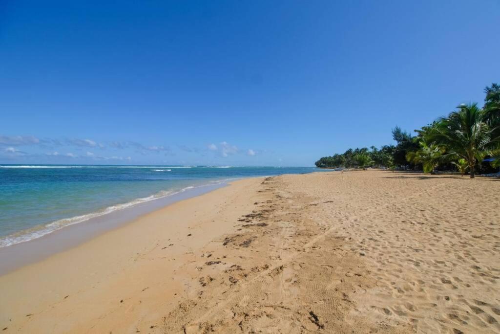 Palmeraie Terrenas Beach Apartamento Лас Теренас Екстериор снимка